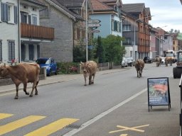 Turnfahrt 2025